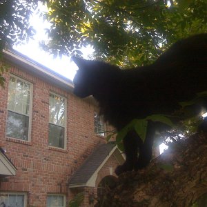 tilly house.JPG