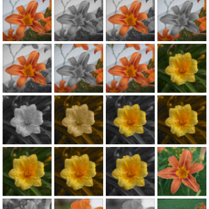 IMG_0032.PNG