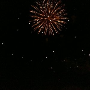 IMG_0064.jpg