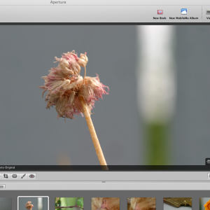 Screenshot on 2009-07-09 at 1.24.23 AM.png