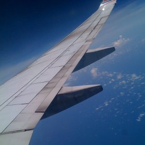 IMG_0368.jpg