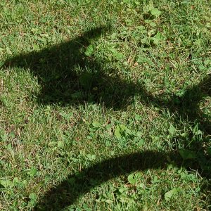 Bike Shadow-800-b.jpg