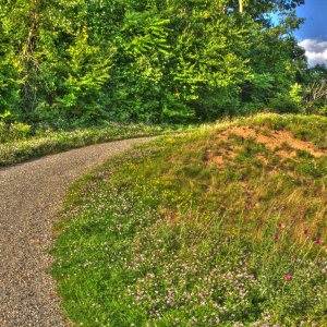 merril_creek_HDR  034_5_6_tonemappedLQ.jpg