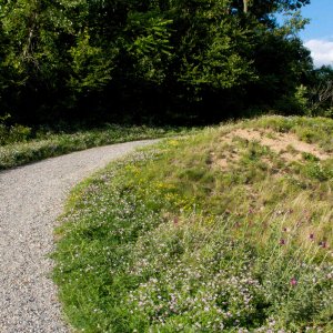 merrill_creek_nonHDR  004LQ.jpg