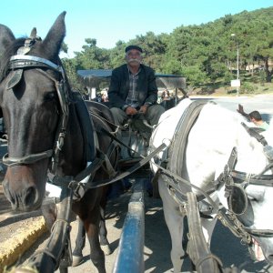 big island small.jpg