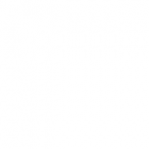 Iphone Pictures 070.png
