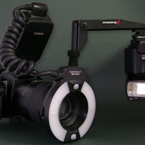 Macro setup.jpg