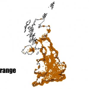 orange-map.jpg