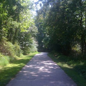 IMG_1137.jpg