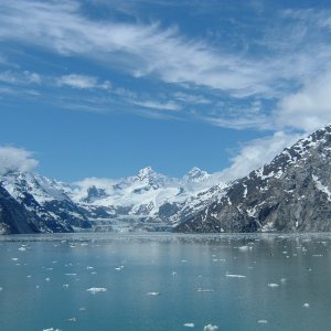 Glacier Bay 23.JPG