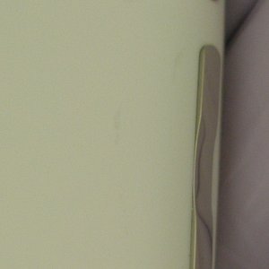 P8040207.JPG
