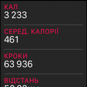 IMG_0784.PNG