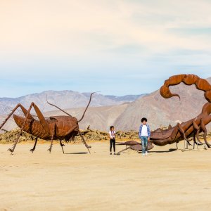 Borrego Scorpion-1-2.jpg