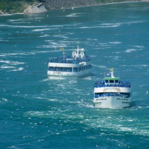 buffalo 2009 077.jpg