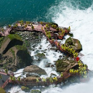 buffalo 2009 133.jpg