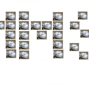 WOOOOT.jpg