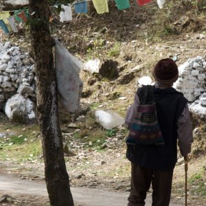 tibetan_pilgrim_walk.jpg