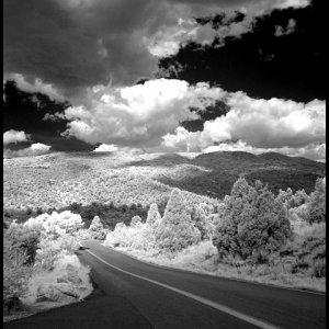 garden of the gods.jpg