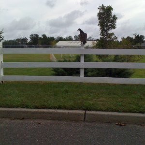 IMG_0158.JPG