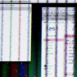 _MG_9374crop.jpg