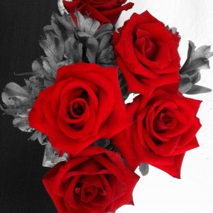 IMG_0914.JPG