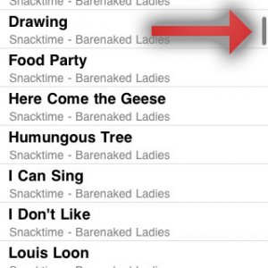 2_ipod.jpg