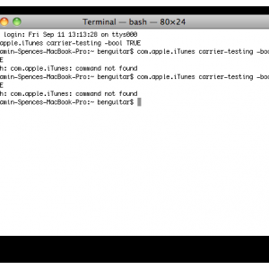 Screen shot 2009-09-11 at 1.16.41 PM.png