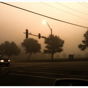 Fog2.jpg