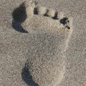 Footprint resized.jpg