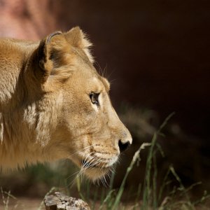 IMG_0533 18-16-47.jpg