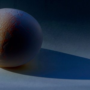 eggc+ shadow copy.jpg