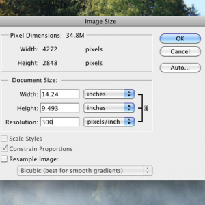 Screen shot 2009-10-10 at 1.17.11 PM.png