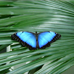 Screen shot 2009-10-11 at 8.22.09 PM.png