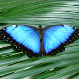 Screen shot 2009-10-11 at 8.24.02 PM.png