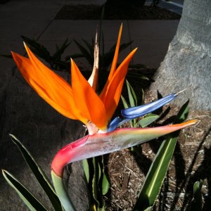 IMG_0997.JPG