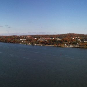 IMG_1009.jpg