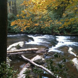 Cades Cove.jpg