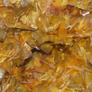 Wulfenite (New Mexico)-a01.JPG