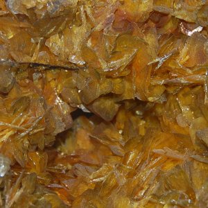 Wulfenite (New Mexico).JPG