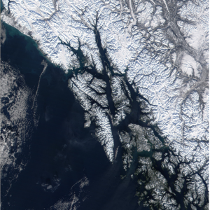 Screen shot 2009-11-09 at 9.17.10 PM.png