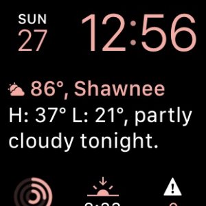 Carrot Watch App 2.jpg