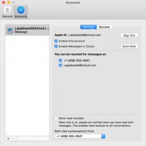 macos-high-sierra-10-13-5-messages-preferences-accounts.jpg