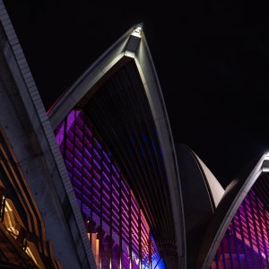 870D486A-2818-4BFC-9901-681EFE93F3E0.jpeg