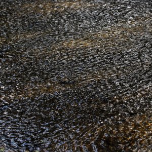 ripples.jpg