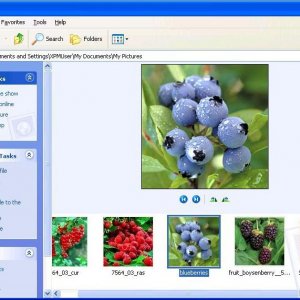 windows-xp-filmstrip-view.jpg
