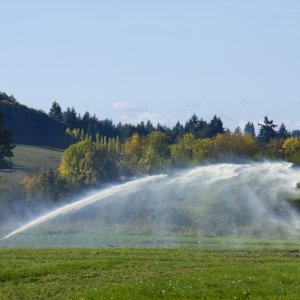 FieldSpray.jpg