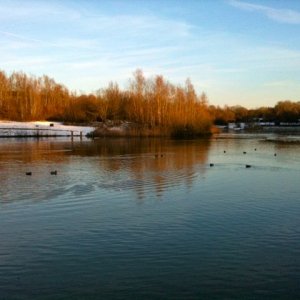 IMG_0199.jpg