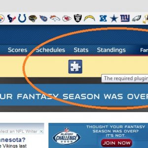 chrome plugin.jpg