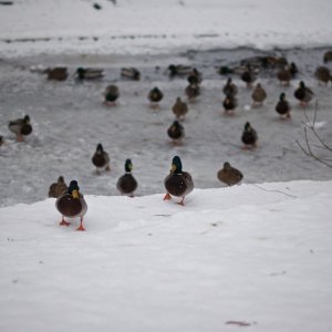 2009-12-25 at 14-57-58 - Version 2.jpg