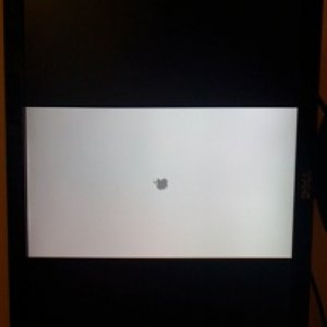 RotatedApple.jpg